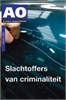 Klik om te vergroten